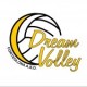 DREAM VOLLEY