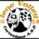 Iene Volley